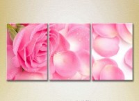 Pictură Gallerix Triptych Pink rose and petals (2699468)