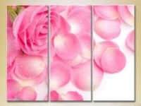 Pictură Gallerix Triptych Pink Rose and Petals 01 (2699529)