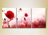 Картина Gallerix Triptych Poppies (2699488)