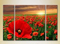 Картина Gallerix Triptych Poppy Field (2699497)