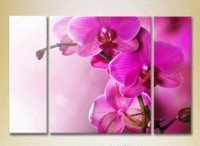 Pictură Gallerix Triptych Purple Orchids (2699544)