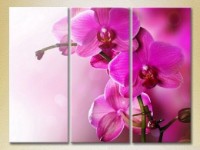 Pictură Gallerix Triptych Purple Orchids 01 (2699451)