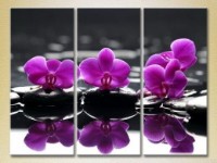 Pictură Gallerix Triptych Purple orchids on stones (2699452)