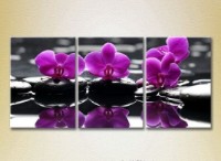 Pictură Gallerix Triptych Purple orchids on stones 01 (2699453)