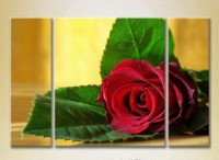 Картина Gallerix Triptych Red Rose (2699499)