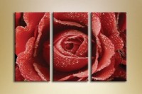 Картина Gallerix Triptych Rose in drops (1150521)