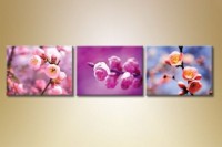 Pictură Gallerix Triptych Sakura Flowers (1612535)