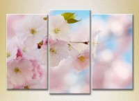 Pictură Gallerix Triptych Sakura Flowers 02 (2699547)
