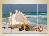 Картина Gallerix Triptych Seashells (2180939)