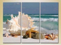 Картина Gallerix Triptych Seashells 01 (2180940)