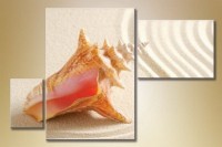 Pictură Gallerix Triptych shell 3 (1529819)