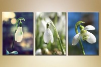 Картина Gallerix Triptych Snowdrops (1409849)
