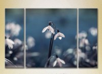 Картина Gallerix Triptych Snowdrops 02 (2699462)
