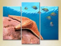 Картина Gallerix Triptych Starfish at depth 01 (2180938)