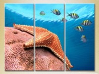 Картина Gallerix Triptych Starfish in the Deep (2180937)