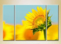 Картина Gallerix Triptych Sunflower 01 (2699482)