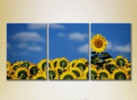 Картина Gallerix Triptych Sunflower Field (2699466)