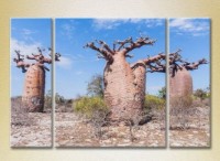 Pictură Gallerix Triptych Three Baobabs 01 (2181127)