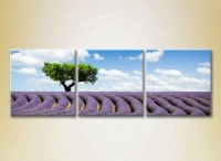Картина Gallerix Triptych Tree in a lavender field (2181113)
