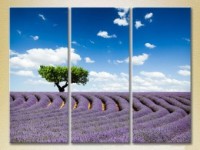 Картина Gallerix Triptych Tree in a lavender field 02 (2181110)