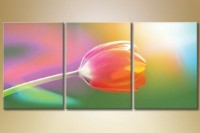 Pictură Gallerix Triptych Tulip (1612539)