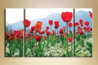 Картина Gallerix Triptych Tulip Field (1150513)