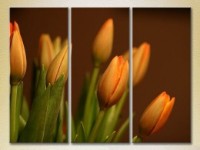 Pictură Gallerix Triptych Tulips (2699460)