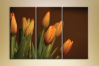 Pictură Gallerix Triptych Tulips brown (1150529)