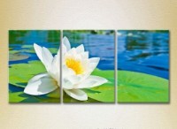 Картина Gallerix Triptych Water Lily 02 (2699495)