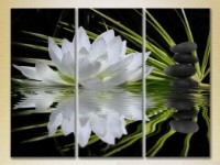 Картина Gallerix Triptych Water lily and massage stones (2699524)