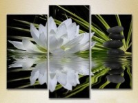Картина Gallerix Triptych Water lily and massage stones 02 (2699519)