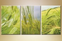 Картина Gallerix Triptych wheat field (1409850)