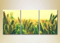 Картина Gallerix Triptych Wheat Field 02 (2699541)
