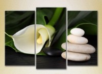 Картина Gallerix Triptych White Calla Lilies 01 (2699555)