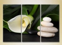 Картина Gallerix Triptych White Calla Lilies 02 (2699546)