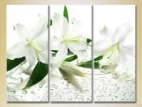 Картина Gallerix Triptych White Lilies 02 (2699532)