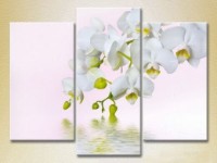 Картина Gallerix Triptych White Orchid 01 (2699479)