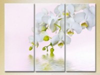 Картина Gallerix Triptych White Orchid 02 (2699478)