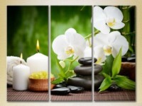 Картина Gallerix Triptych White Orchids and Bamboo (2699535)