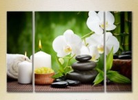 Картина Gallerix Triptych White Orchids and Bamboo 01 (2699534)