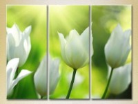 Картина Gallerix Triptych White Tulips (2699533)