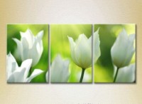 Картина Gallerix Triptych White Tulips 01 (2699539)