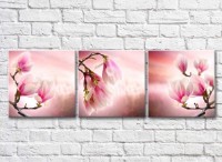 Pictură Gallerix Triptych with magnolia branches (500724)