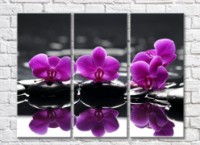 Pictură Gallerix Triptych with purple orchids on black stones (500728)