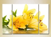 Картина Gallerix Triptych Yellow Lilies 01 (2699518)