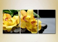 Картина Gallerix Triptych Yellow orchids on stones (2699517)