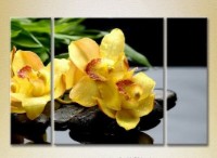 Картина Gallerix Triptych Yellow Orchids on stones 01 (2699516)
