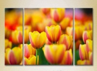 Картина Gallerix Triptych Yellow red tulips 01 (2699520)