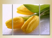 Картина Gallerix Triptych Yellow Tulips (2699557)