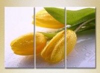 Картина Gallerix Triptych Yellow Tulips 02 (2699551)